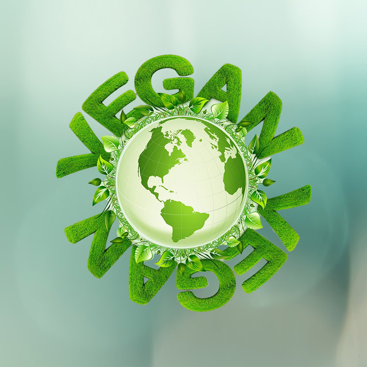 Küresel vegan