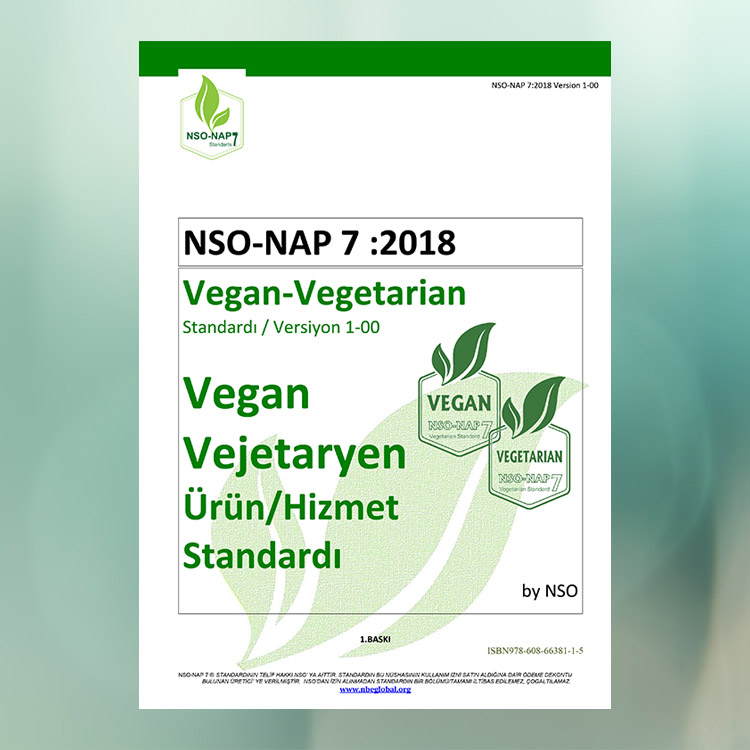 nso-nap 7 standardı